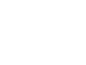 logo blanco